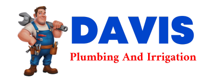 Trusted plumber in DOZIER